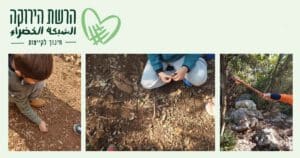 green network outdoor learning