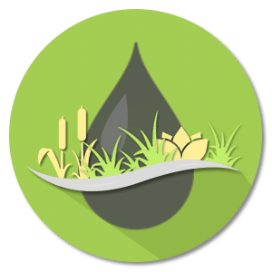 בריכה אקולוגית