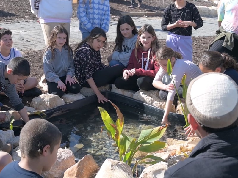 בריכה אקולוגית